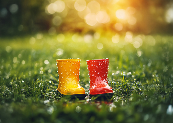 Kolory w biznesie. Jak wykorzystać teorię kolorów do zwiększenia sprzedaży.