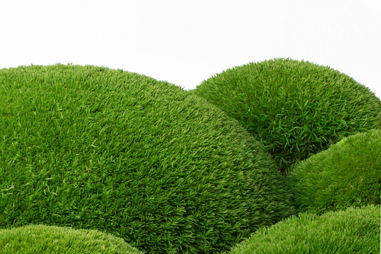 Fotografia produktowa – przygotowanie do druku.