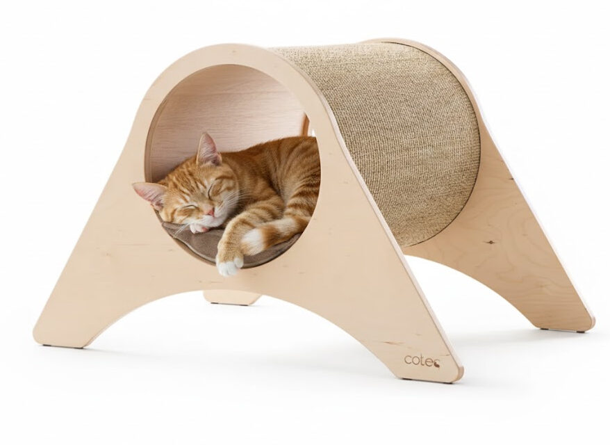 Drapak tunel dla kota z drewna z rudym kotem w środku – packshot do sprzedaży