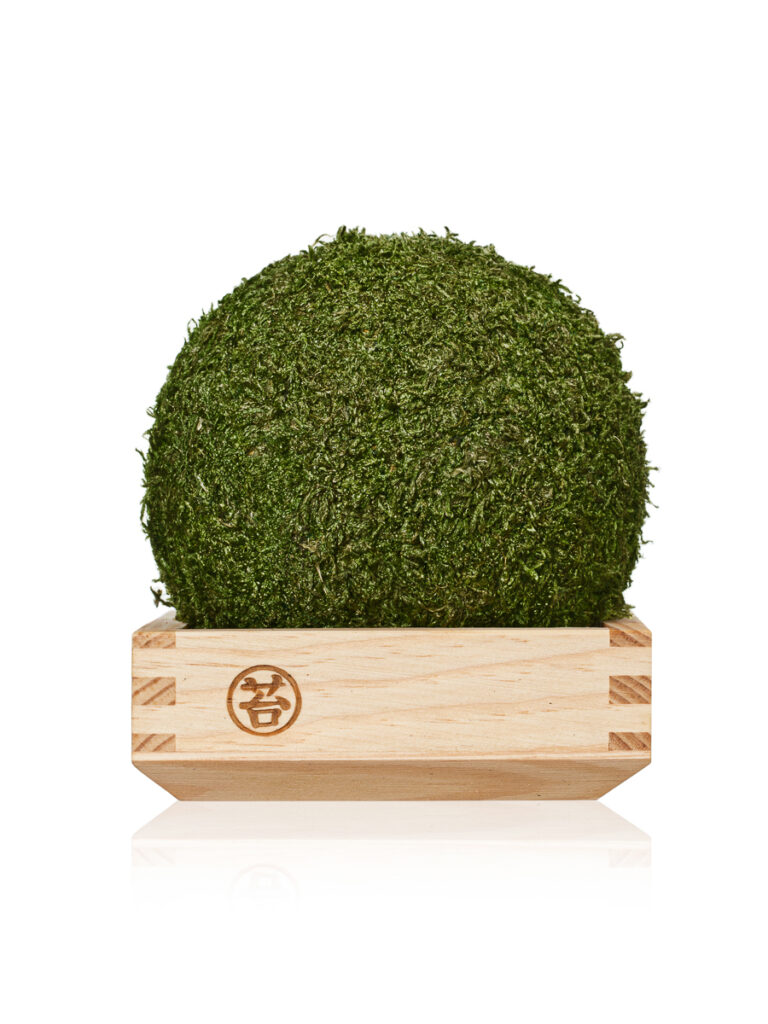 Fotografia packshotowa kuli mchu na podstawie – zdjęcie produktowe do marketplace